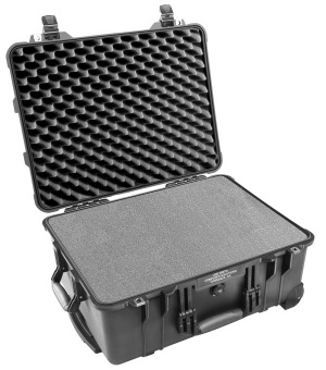 Peli 1560 Case